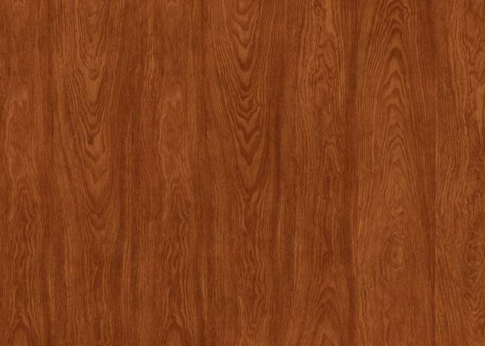 Línea Clásica Lingue