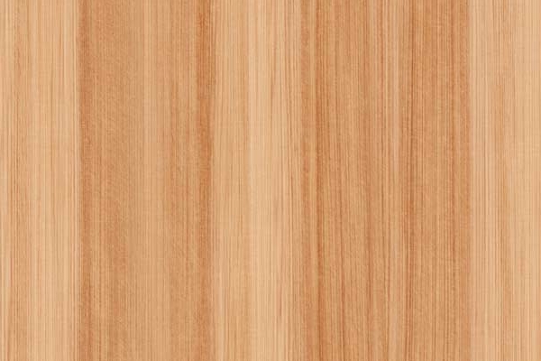 Línea Clásica Coigüe Softwood