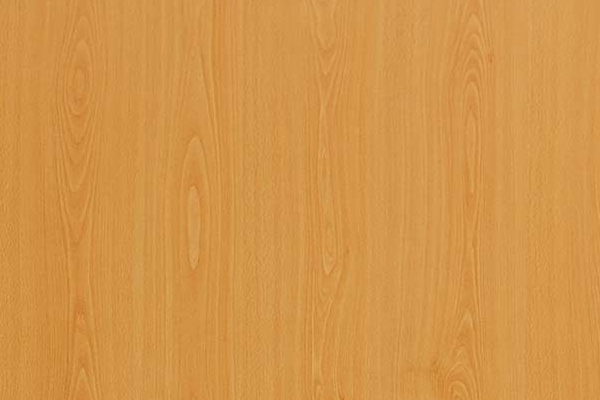 Línea Clásica Haya Catedral