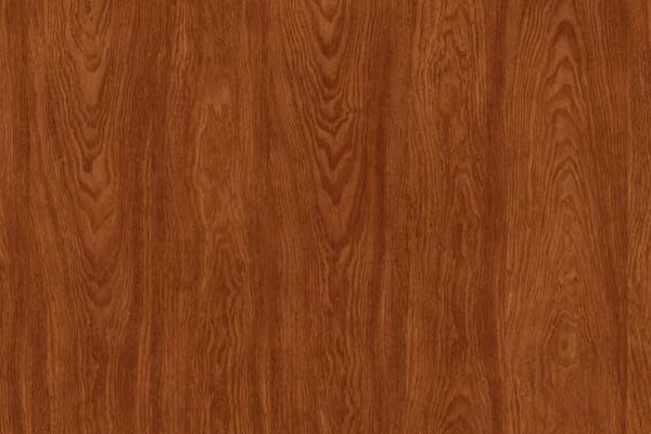 Línea Clásica Lingue