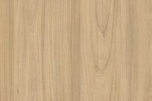 Línea Moderna Olmo Alpino