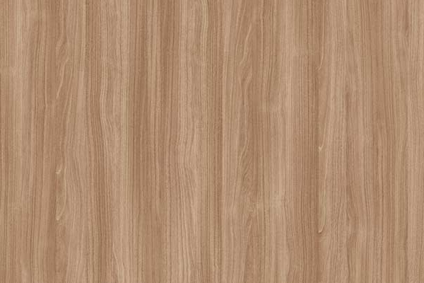 Línea Vanguardia Canela